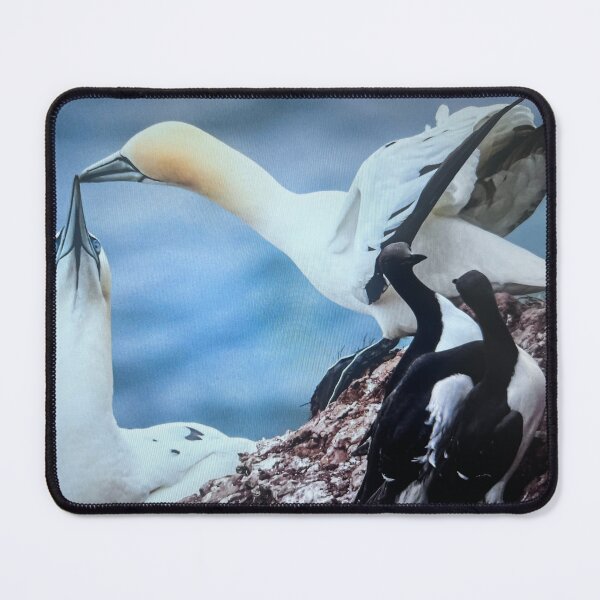 Item preview, „Vögel am Meer mit ihren Küken – Natur und Geborgenheit“ : „Birds by the Sea with Chicks – Nature and Nurture“ designed and sold by Yaroplanner.