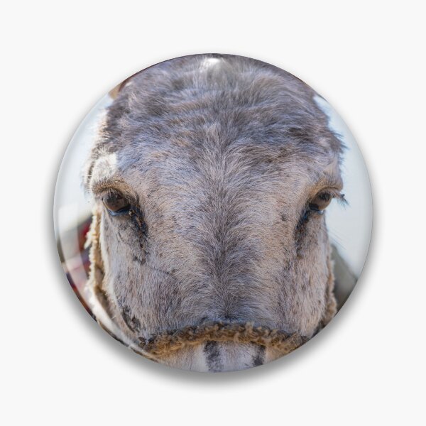 Item preview, Mighty Donkey designed and sold by darren-j-mcleod.