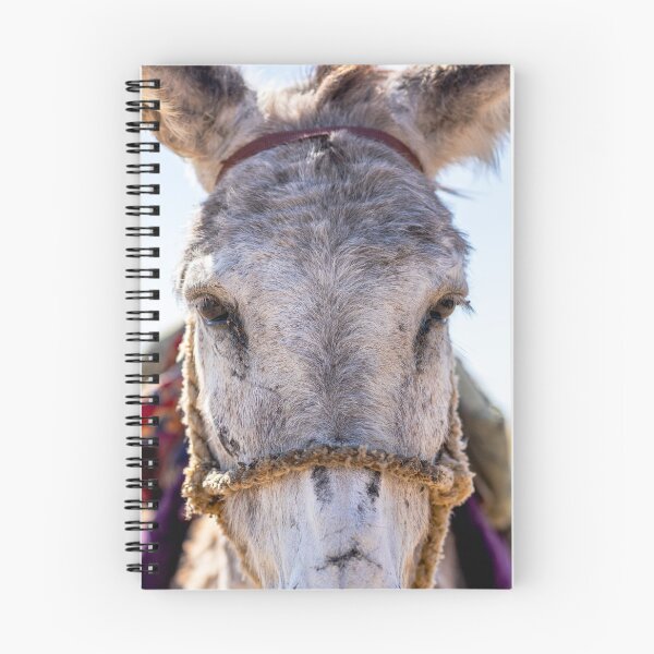 Item preview, Mighty Donkey designed and sold by darren-j-mcleod.