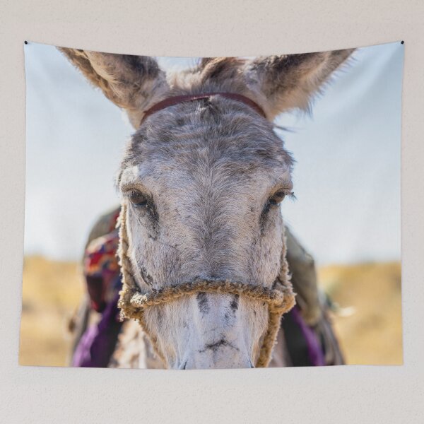 Item preview, Mighty Donkey designed and sold by darren-j-mcleod.
