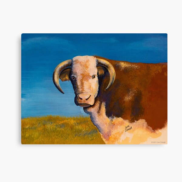 Hereford Cow Canvas Prints Redbubble