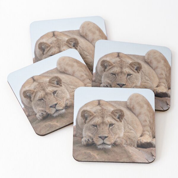 Item preview, Regal Lioness in the Sun designed and sold by rawshutterbug.