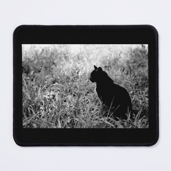 Item preview, Black Cat designed and sold by MaxCardoso.