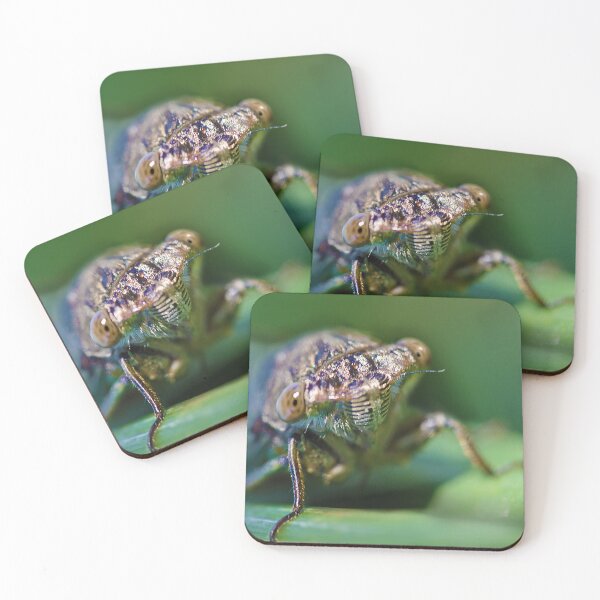 Item preview, Cicada designed and sold by SeenThruTheFog.