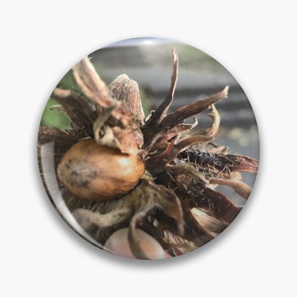 Item preview, „Haselnuss – Geschenk der Natur“ : „Hazelnut – Gift of Nature“ designed and sold by Yaroplanner.