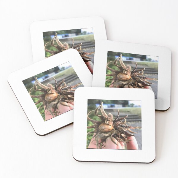 Item preview, „Haselnuss – Geschenk der Natur“ : „Hazelnut – Gift of Nature“ designed and sold by Yaroplanner.