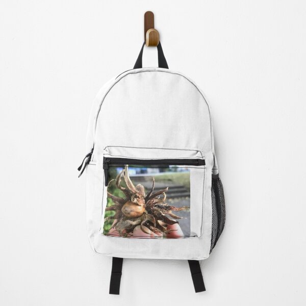 Item preview, „Haselnuss – Geschenk der Natur“ : „Hazelnut – Gift of Nature“ designed and sold by Yaroplanner.