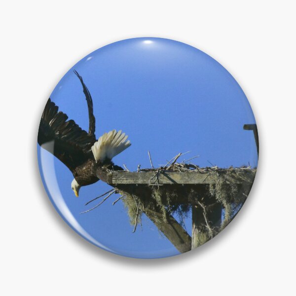 Item preview, Eagle Taking Flight from Nest designed and sold by MercerImages.
