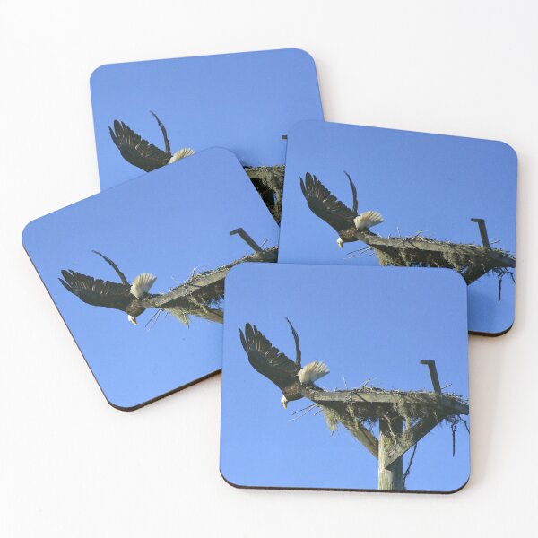 Item preview, Eagle Taking Flight from Nest designed and sold by MercerImages.