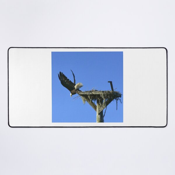 Item preview, Eagle Taking Flight from Nest designed and sold by MercerImages.