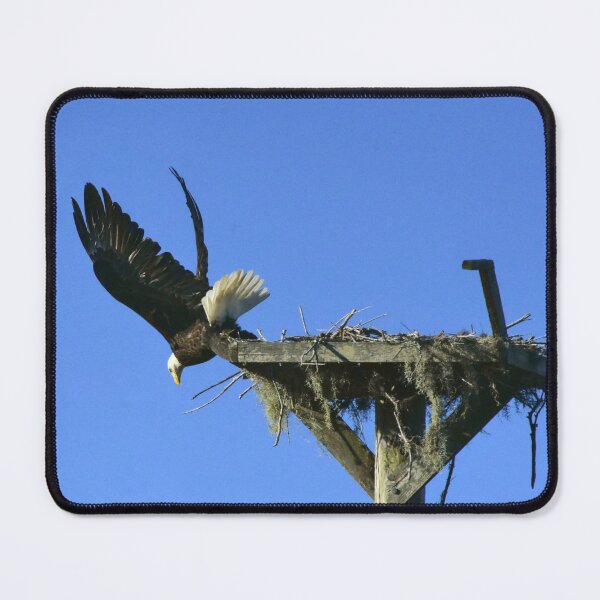 Item preview, Eagle Taking Flight from Nest designed and sold by MercerImages.