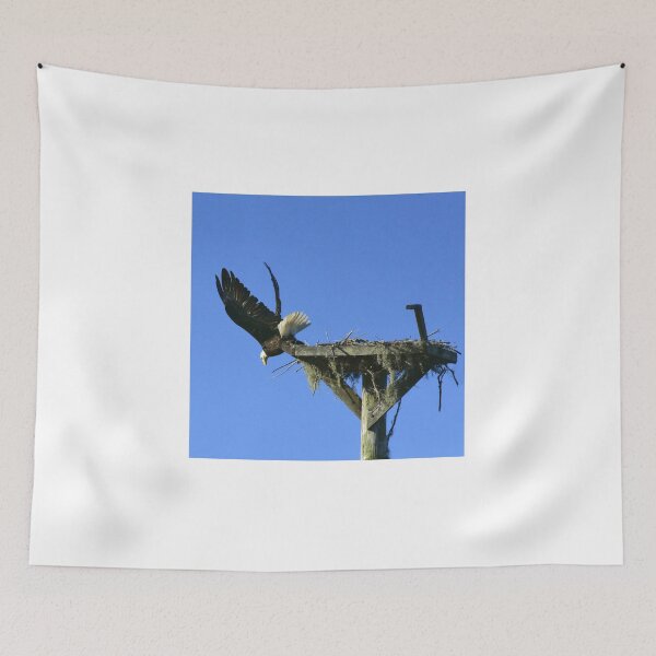 Item preview, Eagle Taking Flight from Nest designed and sold by MercerImages.