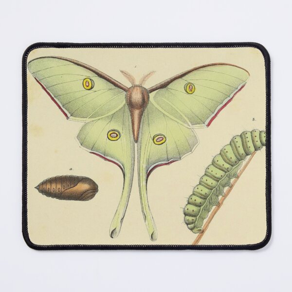 Item preview, Luna Moth Chart designed and sold by BlueSpecsStudio.