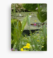 Inverewe pond garden Canvas Print