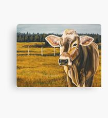 Gretchen, protrait of a Brown Swiss Cow Canvas Print