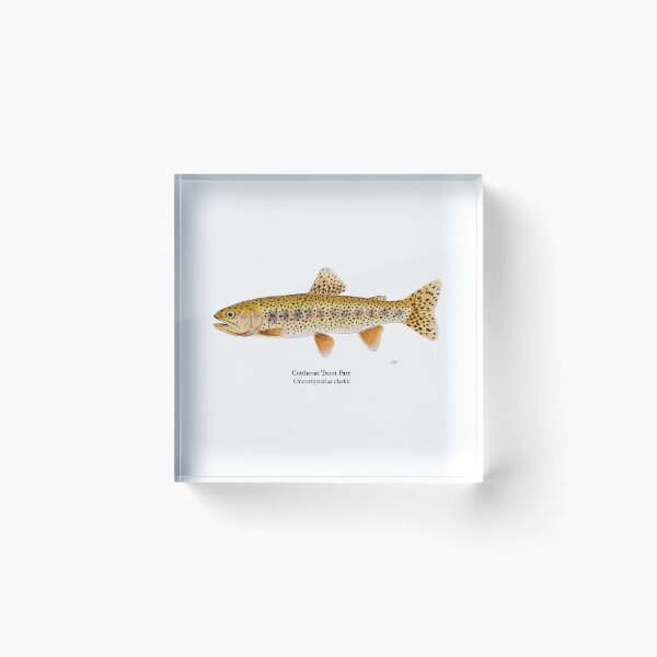 Item preview, Cutthroat Trout Parr Painting designed and sold by Stephen Emms.