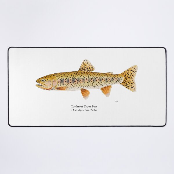 Item preview, Cutthroat Trout Parr Painting designed and sold by Stephen Emms.