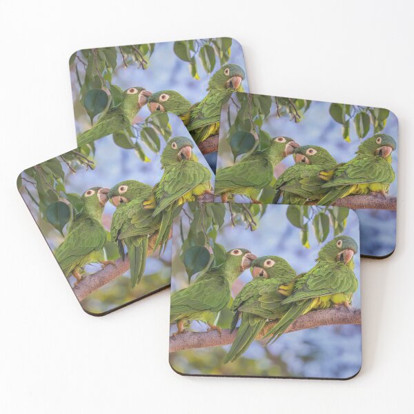 Item preview, Three Blue Crowned Parakeets Pantanal Brazil designed and sold by PhotoArt by Joan Carroll.
