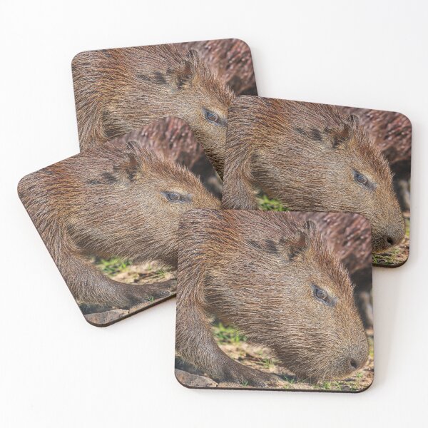 Item preview, Capybara Profile Portrait Pantanal Brazil designed and sold by PhotoArt by Joan Carroll.