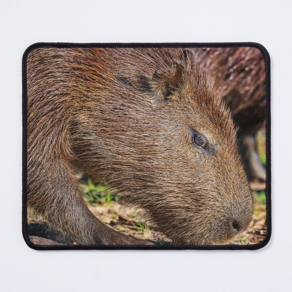 Item preview, Capybara Profile Portrait Pantanal Brazil designed and sold by PhotoArt by Joan Carroll.