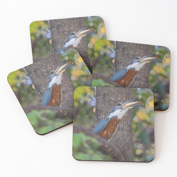 Item preview, Ringed Kingfisher Having a Meal Pantanal 2 designed and sold by PhotoArt by Joan Carroll.