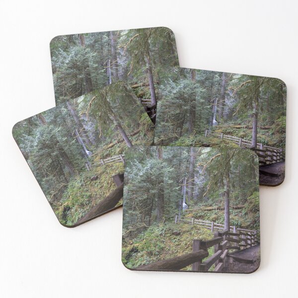 Item preview, Along the Path to Marymere Falls at Olympic National Park designed and sold by TinyDinoDesigns.