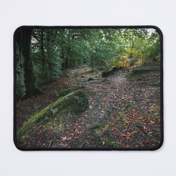 Item preview, Craig Gwladys Park designed and sold by Leighton Collins.