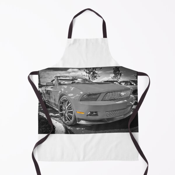 Item preview, 2010 Ford Mustang Convertible X101 designed and sold by RichFrancoCars.