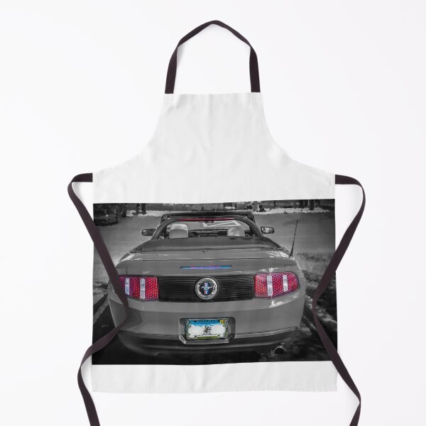 Item preview, 2010 Ford Mustang Convertible X103. designed and sold by RichFrancoCars.
