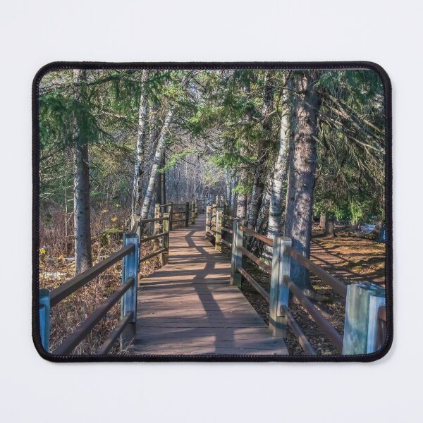 Item preview, Beautiful Shadowed Boardwalk Path lined with Evergreen Trees along the Gooseberry River designed and sold by LINDA MCKUSICK.