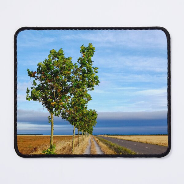 Item preview, Carretera Hacia Reliegos designed and sold by troianifabrizio.