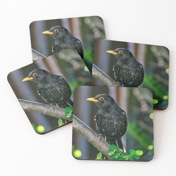 Item preview, Blackbird Perched in Tree designed and sold by Tom McPherson Photography.