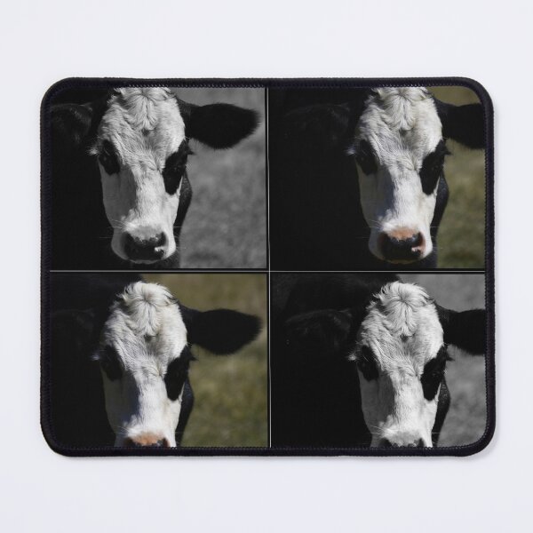 Item preview, Four Quarts of Milk - Four-frame Cow Image designed and sold by SangeDesigns.