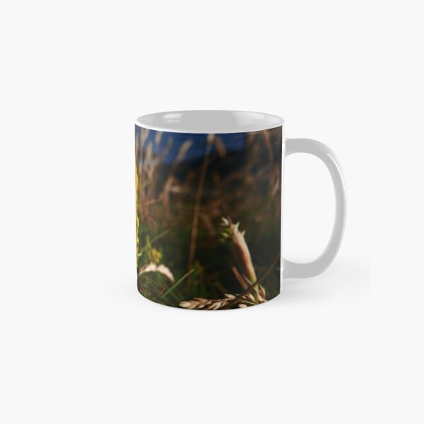 Lady's Bedstraw (Galium verum) Classic Mug