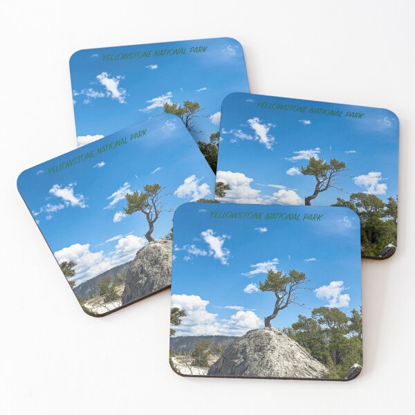 Item preview, TREE growing in stone, Yellowstone National Park designed and sold by MYTOPSHELF.