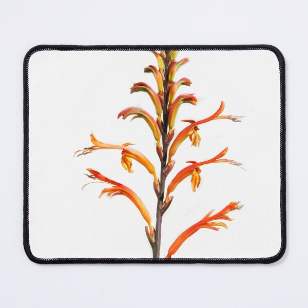 Item preview, Bright and Beautiful designed and sold by heatherfriedman.