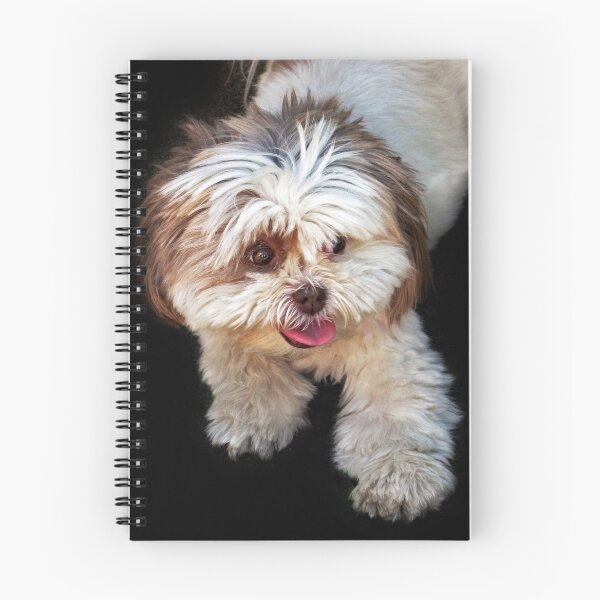 Item preview, Scruffy designed and sold by Jessica Jenney.