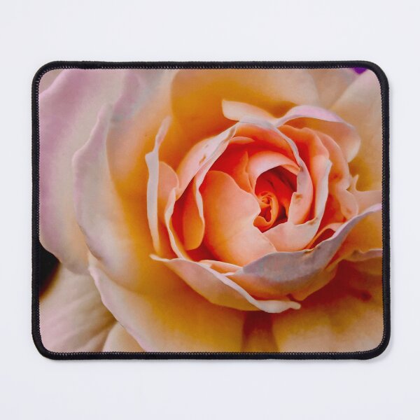 Item preview, Summer 2025 closure designed and sold by Oregon Sensory Services.