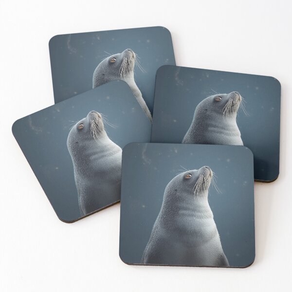 Item preview, Seal admiring the space designed and sold by SealMart.