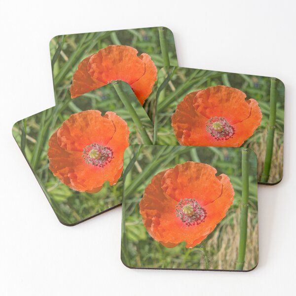 Item preview, Amapola designed and sold by Betsy Phillips.