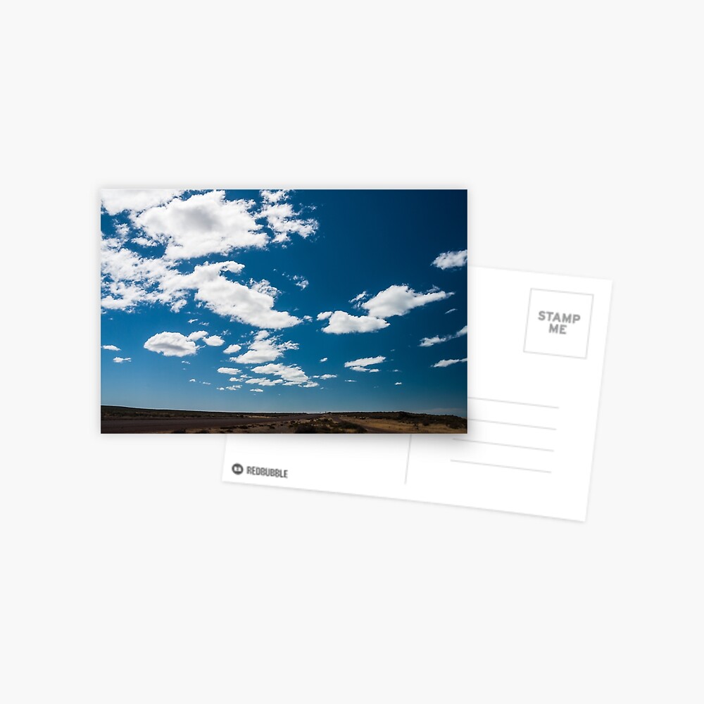 Patagonia Road I Postcard