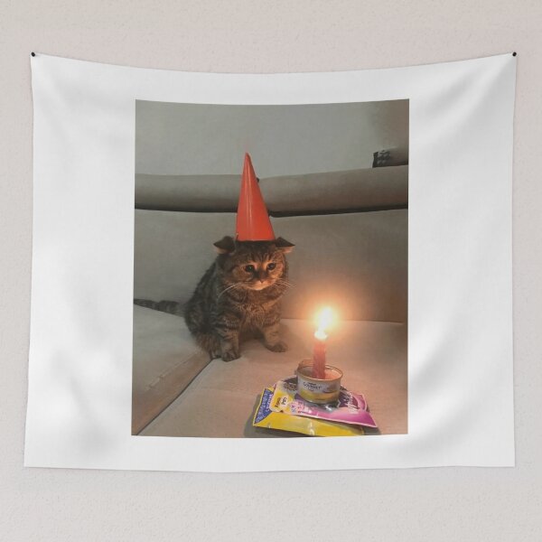 Item preview, Sad Birthday Cat Meme designed and sold by Alexandrorakus.