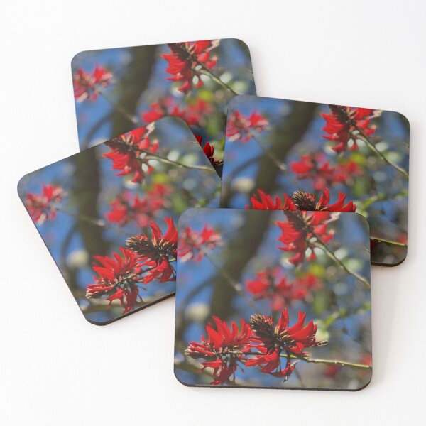 Item preview, Flame Tree Flowers Vasse Western Australia designed and sold by Rainbow Farm Photography.