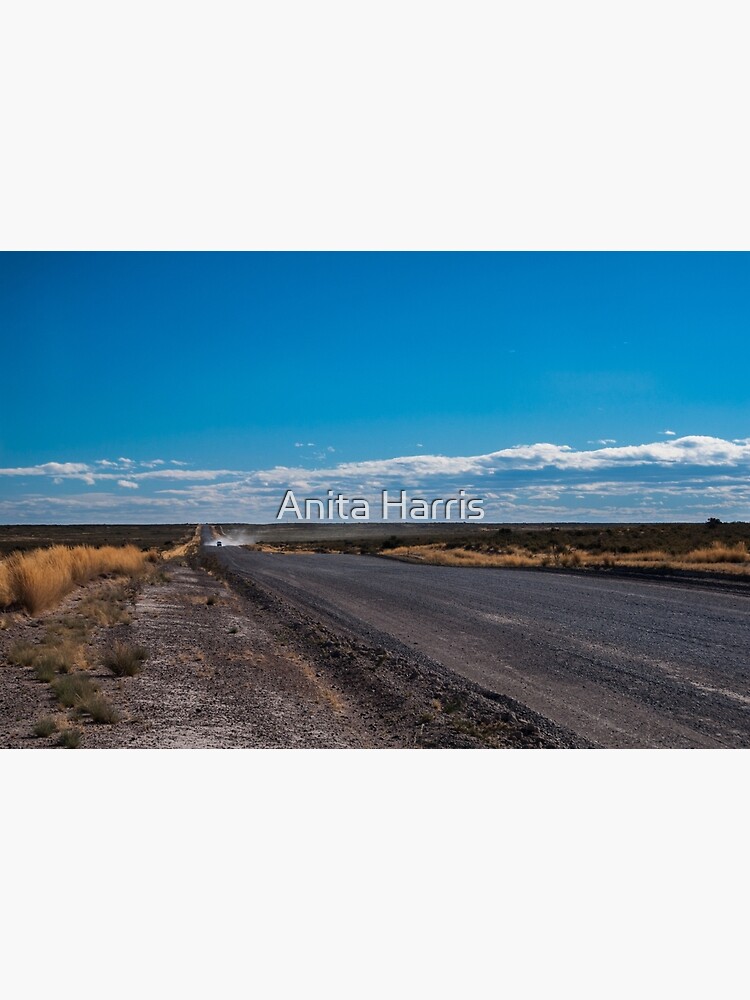 Patagonia Road II by plasticflower
