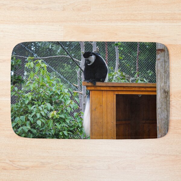 Item preview, Rooftop view designed and sold by Belles-Photos.