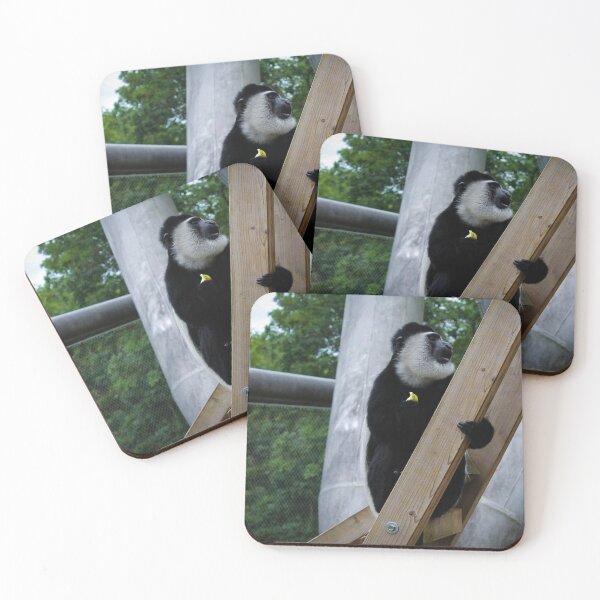 Item preview, Monkey on a ladder designed and sold by Belles-Photos.