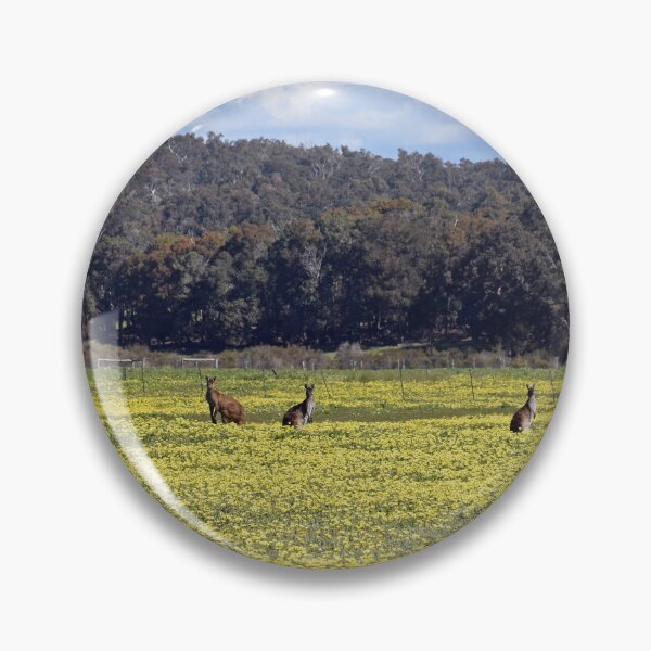 Item preview, Kangaroos in Spring Time designed and sold by Rainbow Farm Photography.