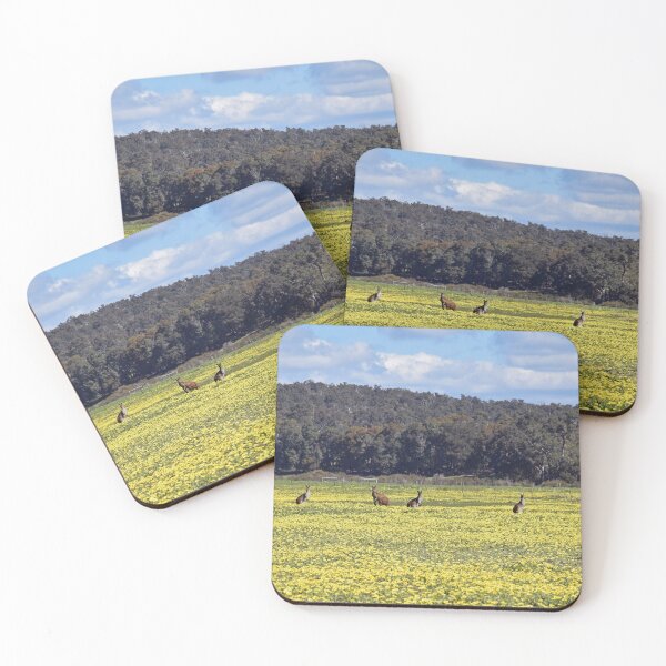Item preview, Kangaroos in Spring Time designed and sold by Rainbow Farm Photography.