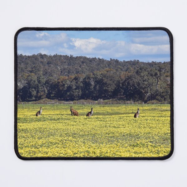 Item preview, Kangaroos in Spring Time designed and sold by Rainbow Farm Photography.