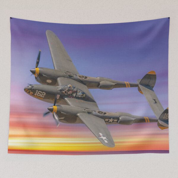 Item preview, Camarillo Airport, airplane designed and sold by Mauswohn.